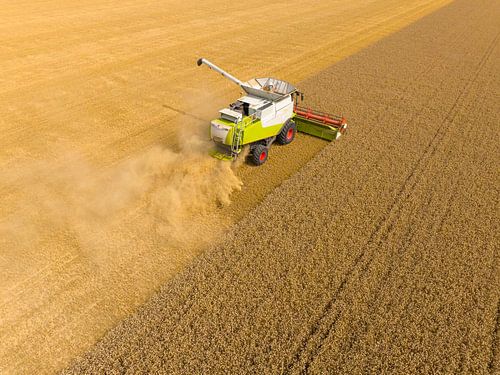 Combine oogst tarwe tijdens de zomer