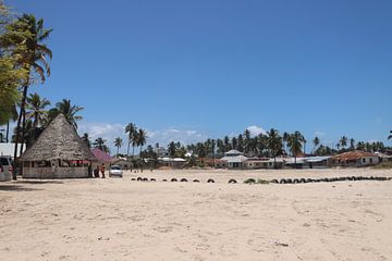 Beach on Zanzibar van Eline Sieben