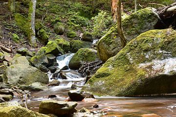 De rivier de Ilse in het Harz Nationaal Park van Heiko Kueverling