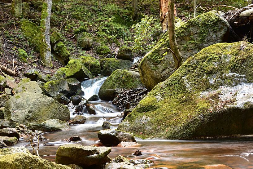 The river Ilse in the Harz National Park by Heiko Kueverling