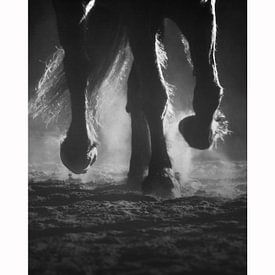 Horses van Dmm Fotografie