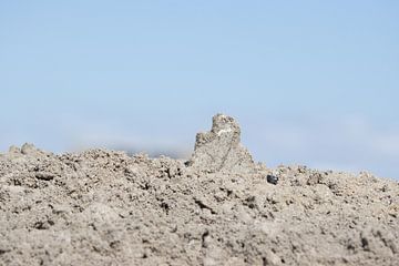 Nur ein Berg von Foto Studio Labie