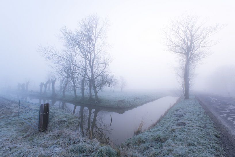 Nebel und Frost auf dem Gras von peterheinspictures
