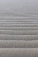 Art sur la plage de l'île de Terschelling