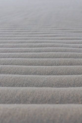 Art on the beach of the island of Terschelling