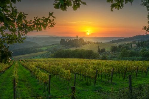 Vignobles au coucher du soleil et abbaye de Badia a Passignano