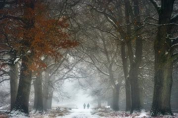 Mistig Winter Wonderland van Ellen Borggreve