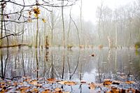 Spiegeling