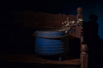 Still life of a blue kettle with seed pods of poppy