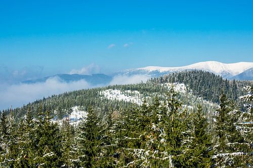 Winter im Riesengebirge bei Benecko, Tschechien