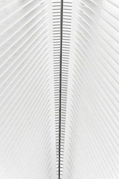 Der abstrakte Oculus von Ton van den Boogaard