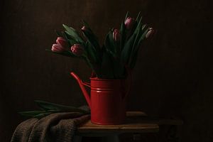 Tulips van Elena van der Veen