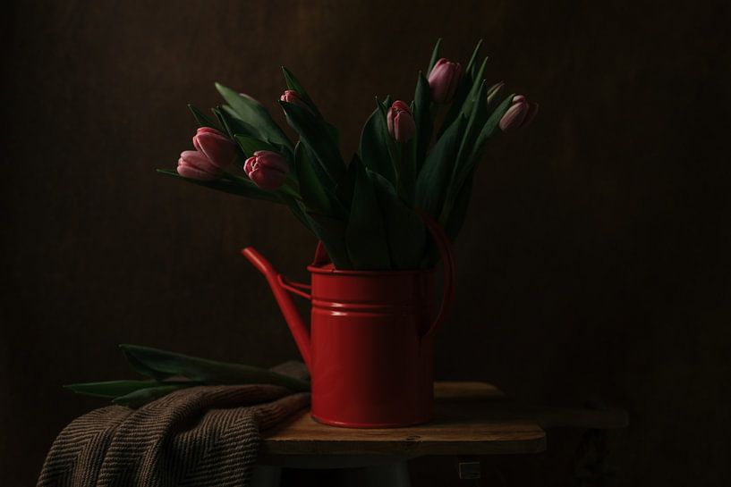 Tulips by Elena van der Veen