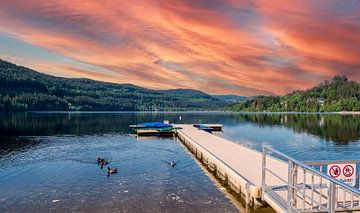 Titisee  mit Bootssteg am Morgen von Animaflora PicsStock