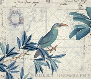Nostalgische Reise der Vögel