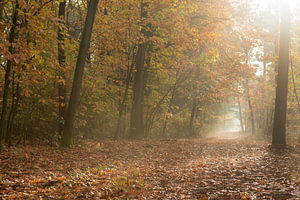 Goldener Oktober, Herbststimmung