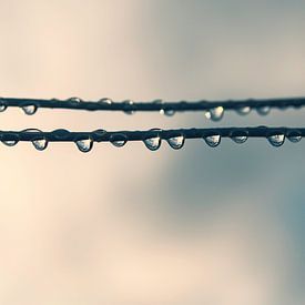 Après la pluie sur Anjuska Slijderink