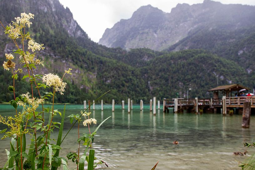 Königssee an einem regnerischen Sommertag von Martina David