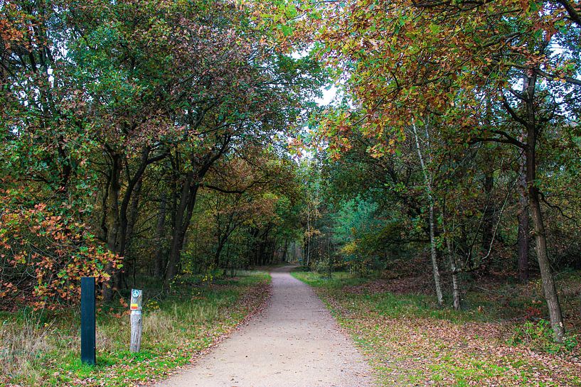 Autumn in the Netherlands by Linda Herfs
