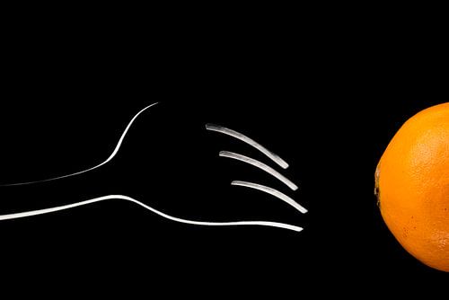 De aantrekkingskracht van de citrusvruchten