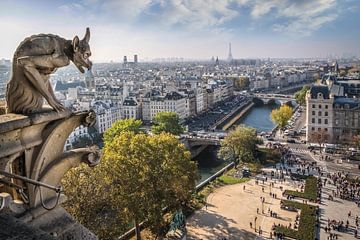 Waterspuwers in de Notre Dame kathedraal aan de Seine, Parijs, van Christian Müringer