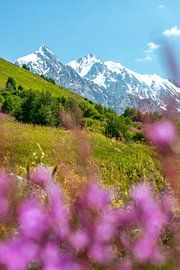 View of the Georgian mountain peaks and glaciers