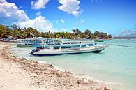Traditional fishing boats on Gili Meno island in Indonesia by Eye on You thumbnail