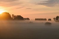 Mistbank zonsopkomst platteland