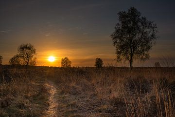 Zonsondergang Ginkelse Heide van Rick van de Kraats