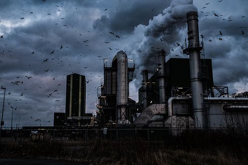 Fabriek in de Botlek