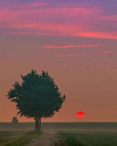Zonsopkomst in het noorden van Groningen, Nederland