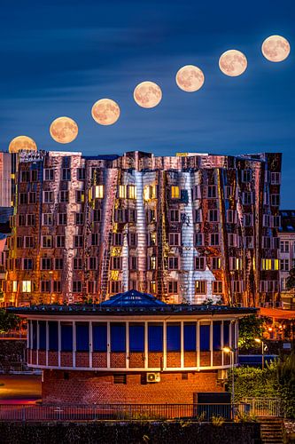 Le bâtiment Gehry, baigné d'une lueur bleu profond au clair de lune