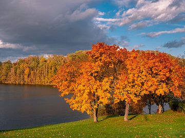 farbenfrohe Herbststimmung am See von Animaflora PicsStock