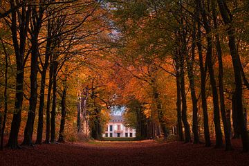 Landgoed Nijenburgh in de herfst van peterheinspictures