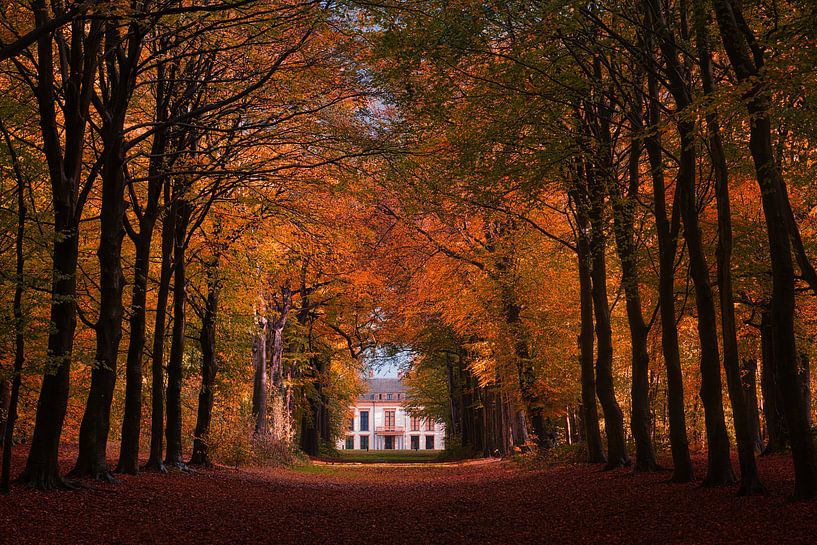 Nijenburgh estate in autumn by peterheinspictures