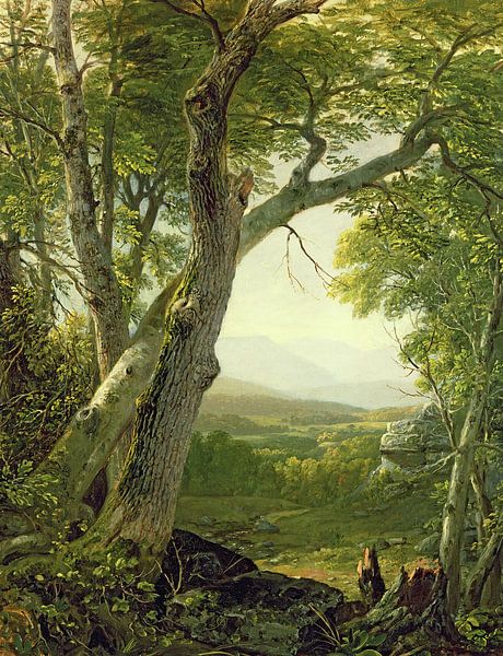 Asher Brown Durand,Shandaken Ridge, Kingston van finemasterpiece