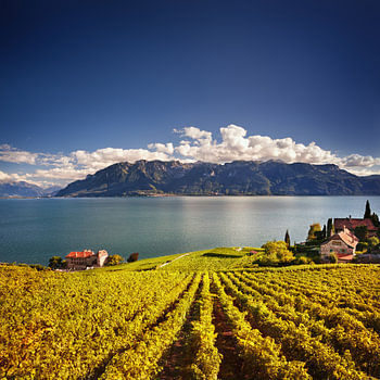 Journée ensoleillée au-dessus du lac Léman et des châteaux de Lavaux