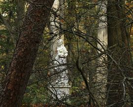 Lady in the wood by Abra van Vossen