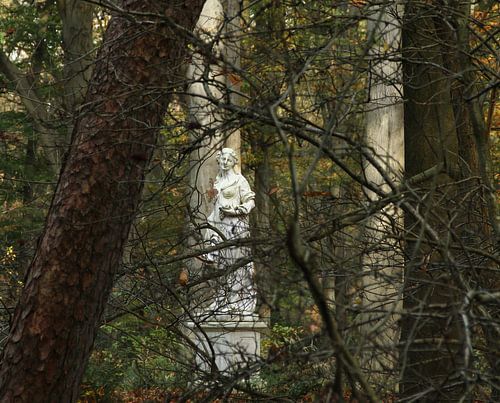 Lady in the wood