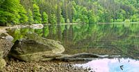 On the shore of the Feldsee in the Black Forest