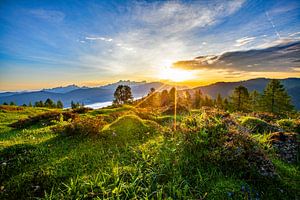 Frühlingshafter Sonnenaufgang auf der Lackenalm