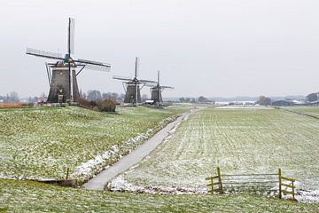 Three Windmills in Dutch scenery. by Jacqueline de Groot