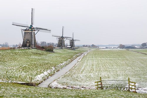 Three Windmills in Dutch scenery.