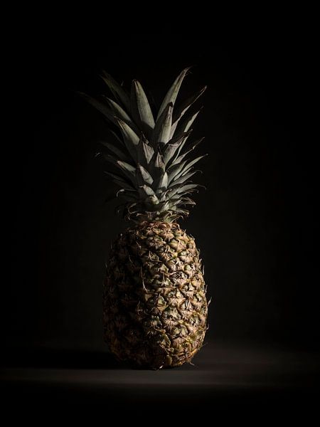 Ananas von Mariska Vereijken