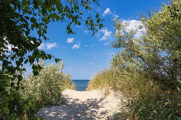 Beach access on the Baltic Sea coast near Rosenort in the Rostock H by Rico Ködder