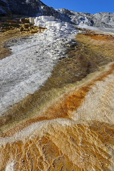 Mammoth Hot Springs in Yellowstone by Antwan Janssen