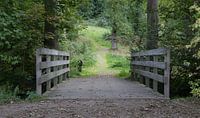 Brücke im Park