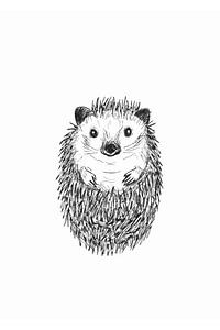 Hérisson mignon et recroquevillé