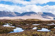 Reflecties in de Schotse hooglanden von Nick Chesnaye Miniaturansicht