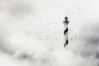 de mist